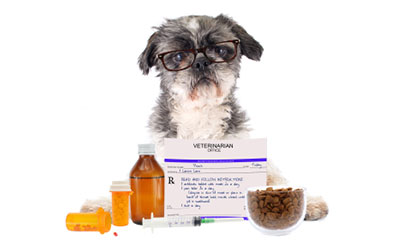 vetlife agencies pet medicines